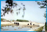 長(zhǎng)橋映月