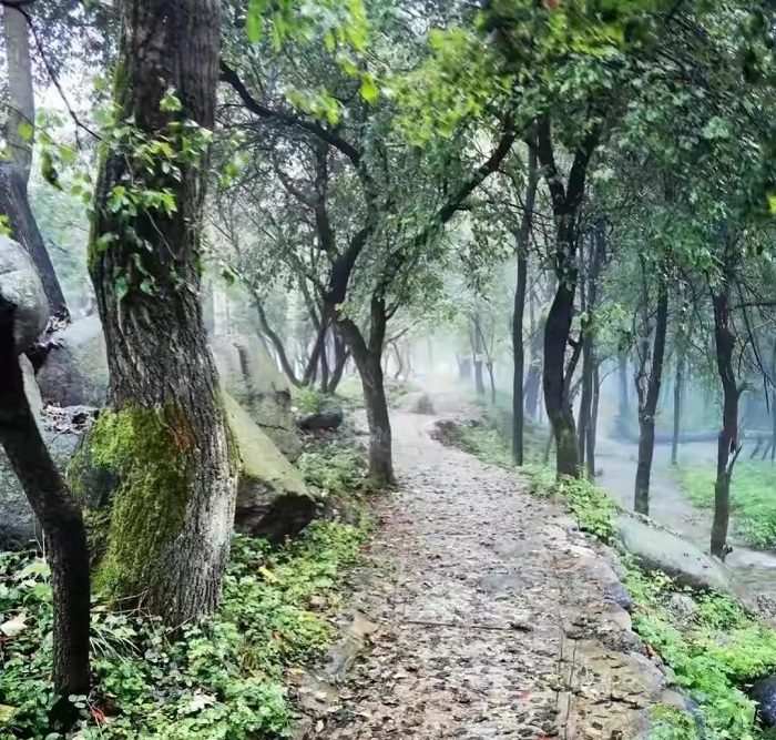 玉渡山風(fēng)景區(qū)