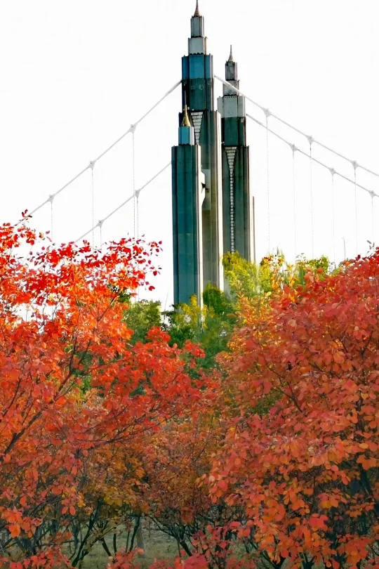 初秋→深秋，昌平這7條賞秋線路必沖
