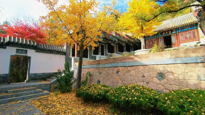 初秋→深秋，昌平這7條賞秋線路必沖