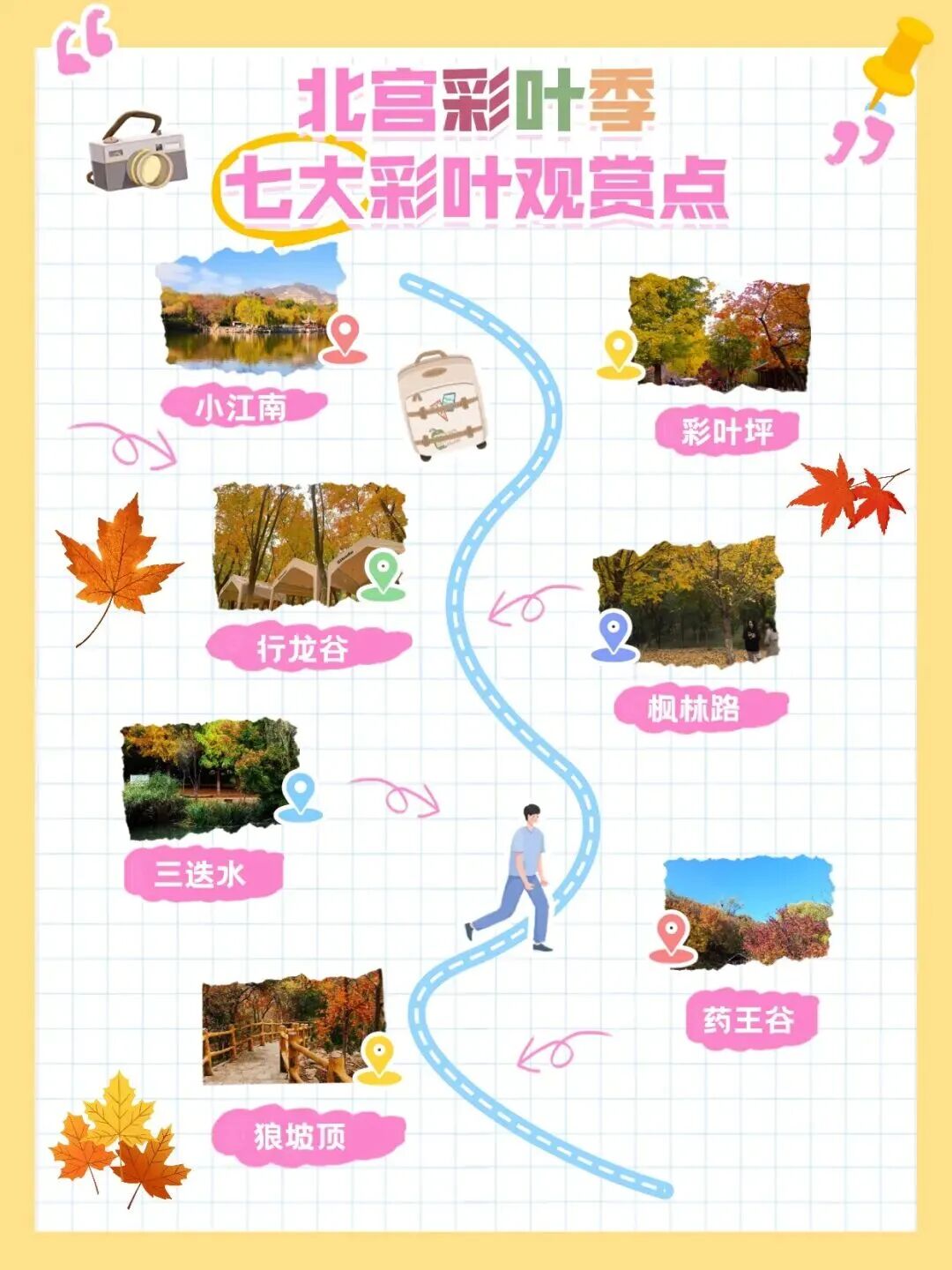 秋日宜登高 寶藏登山賞秋路線(xiàn)推薦