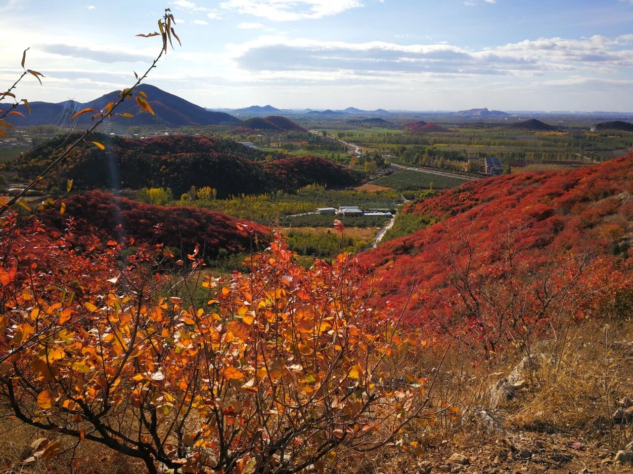 順義秋日精品線 從銀杏到淺山的斑斕之旅