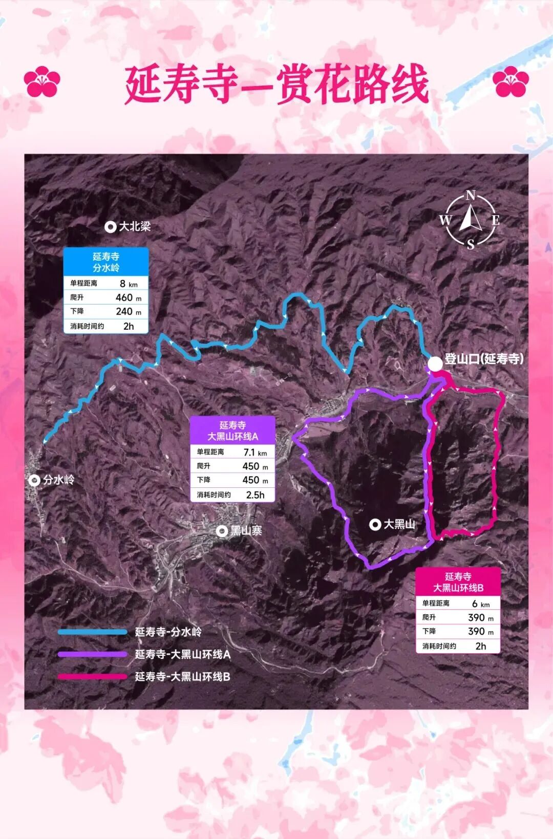 延壽最佳賞花期即將到來！解鎖徒步&騎行賞花全指南