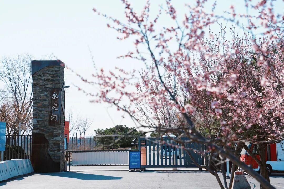 4月1日，永定河中堤恢復(fù)開(kāi)放！