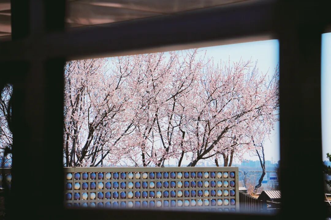 4月1日，永定河中堤恢復(fù)開(kāi)放！