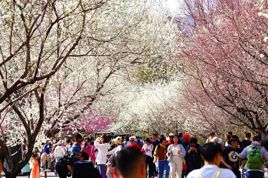 北京推出15條“最美園路”！點(diǎn)擊收藏——