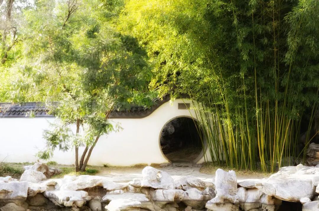 北京推出15條“最美園路”！點(diǎn)擊收藏——