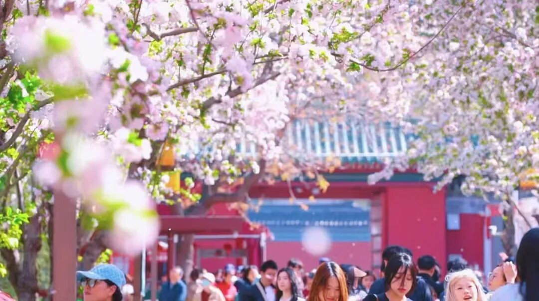 北京推出15條“最美園路”！點(diǎn)擊收藏——