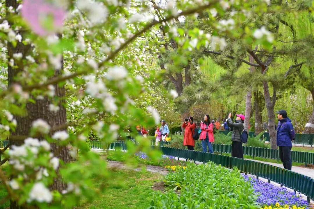 北京推出15條“最美園路”！點(diǎn)擊收藏——