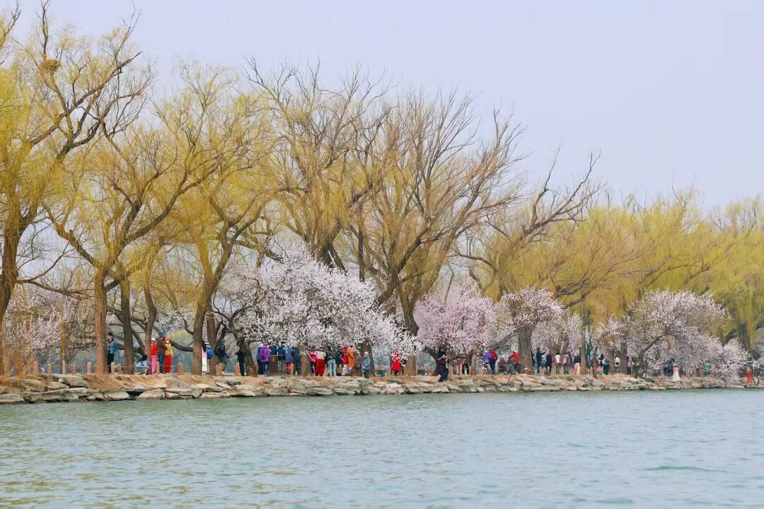 北京推出15條“最美園路”！點(diǎn)擊收藏——