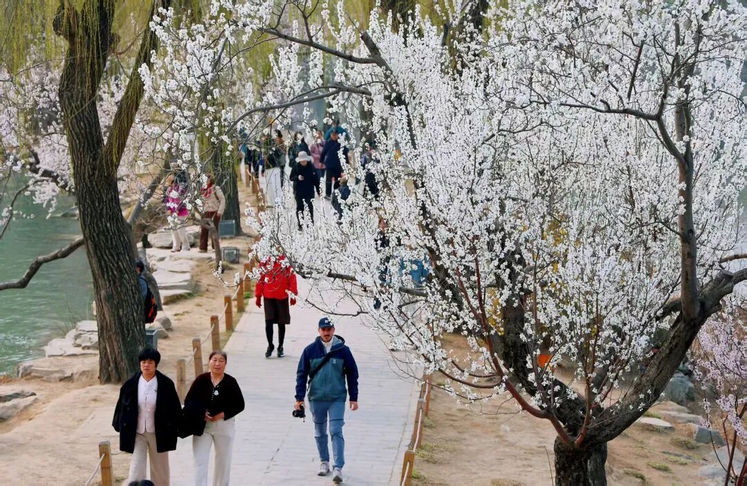 北京推出15條“最美園路”！點(diǎn)擊收藏——