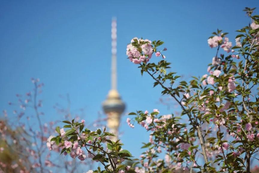 踏青賞花購好物，北京本月將推出400余項(xiàng)重點(diǎn)促消費(fèi)活動(dòng)