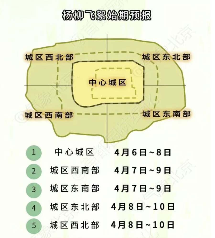 北京進(jìn)入飛絮期 緊急提醒！