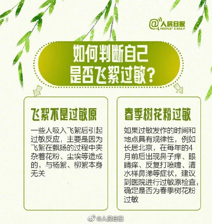 北京進(jìn)入飛絮期 緊急提醒！