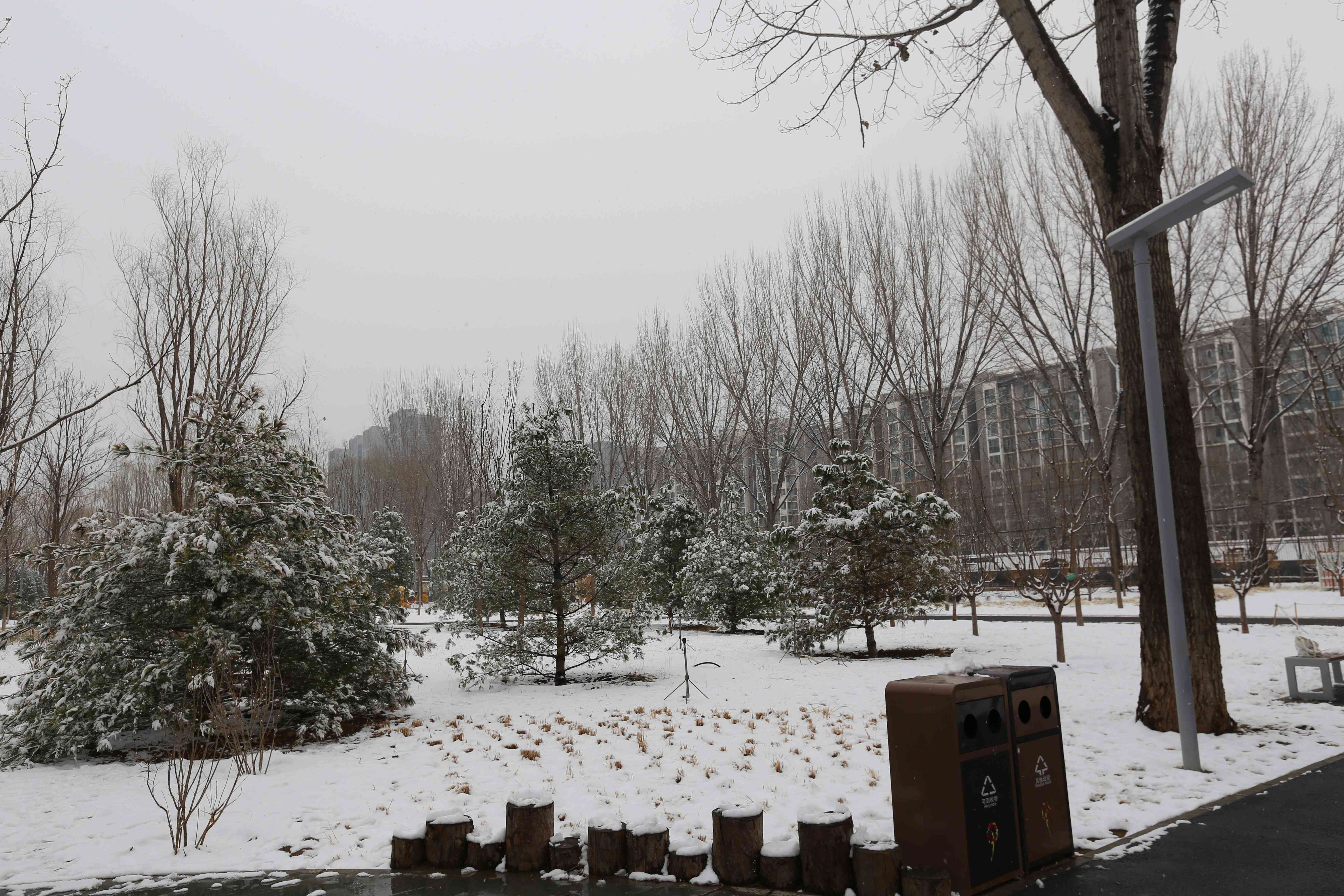 全齡樂活 觀鳥尋趣！昌平這兩個公園成為打卡新地標(biāo)