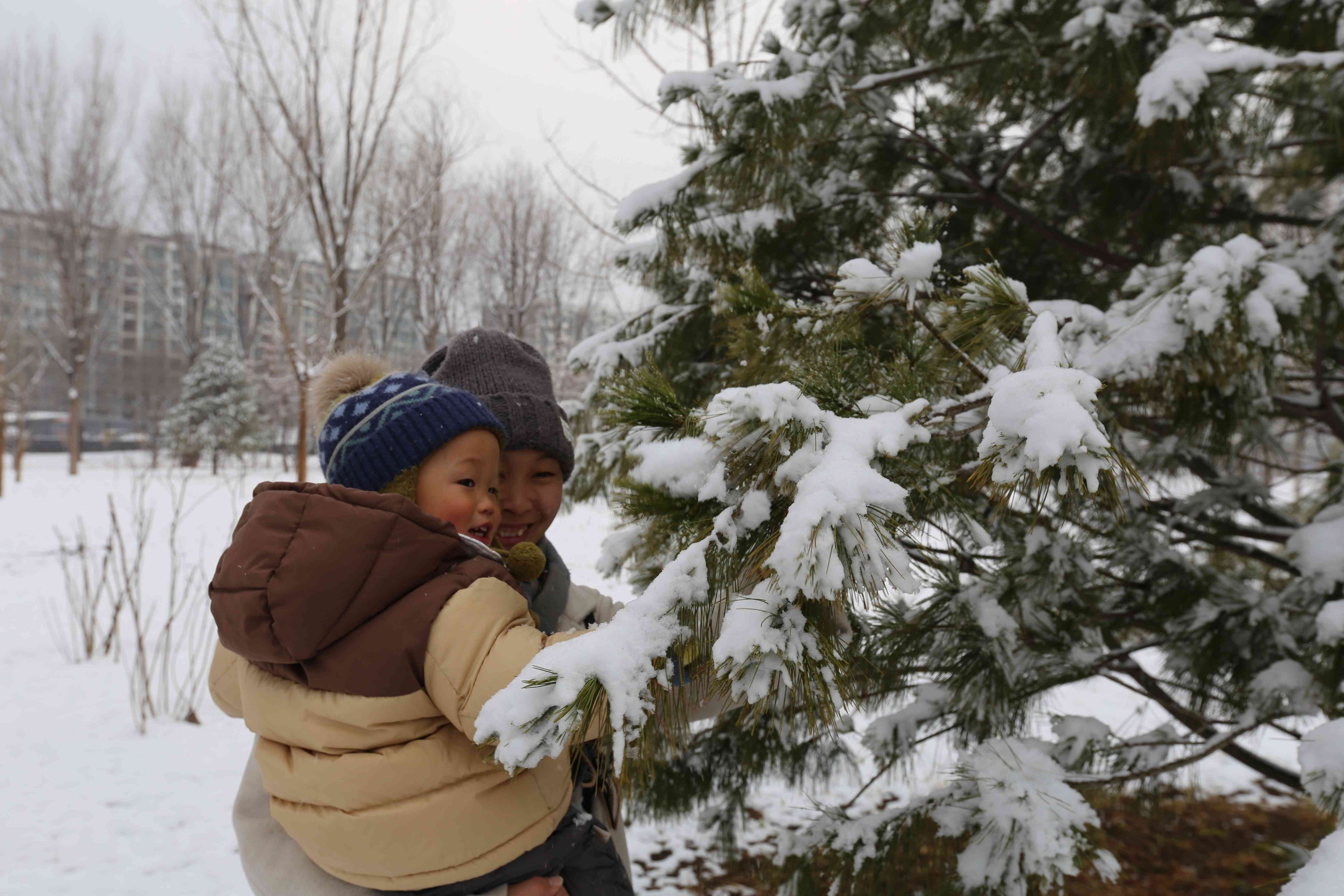 全齡樂活 觀鳥尋趣！昌平這兩個公園成為打卡新地標(biāo)