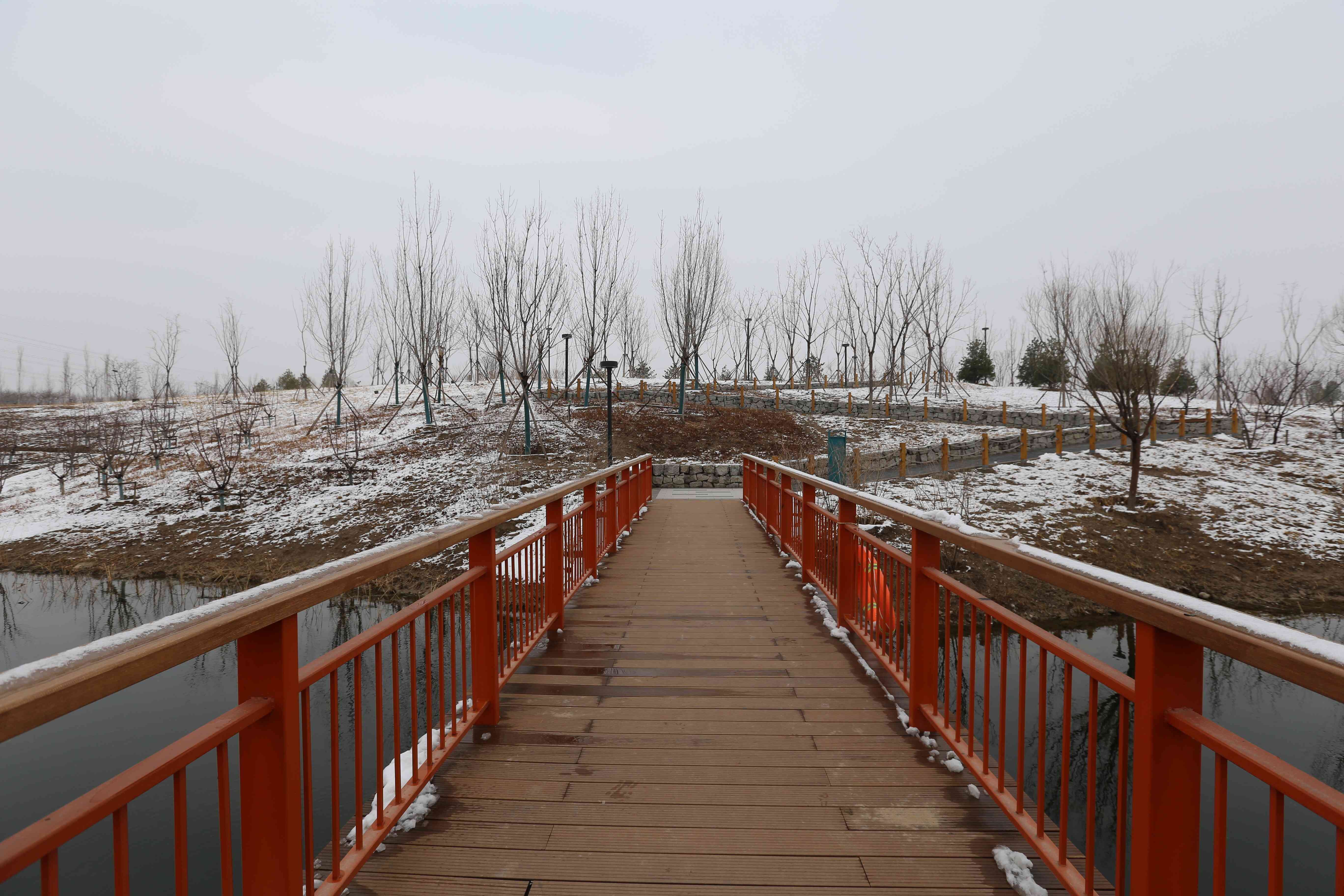 全齡樂活 觀鳥尋趣！昌平這兩個公園成為打卡新地標(biāo)