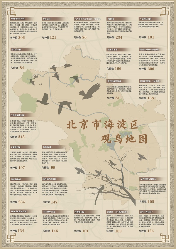 海淀觀鳥地圖發(fā)布 到21處觀鳥點位邂逅鳥“明星”