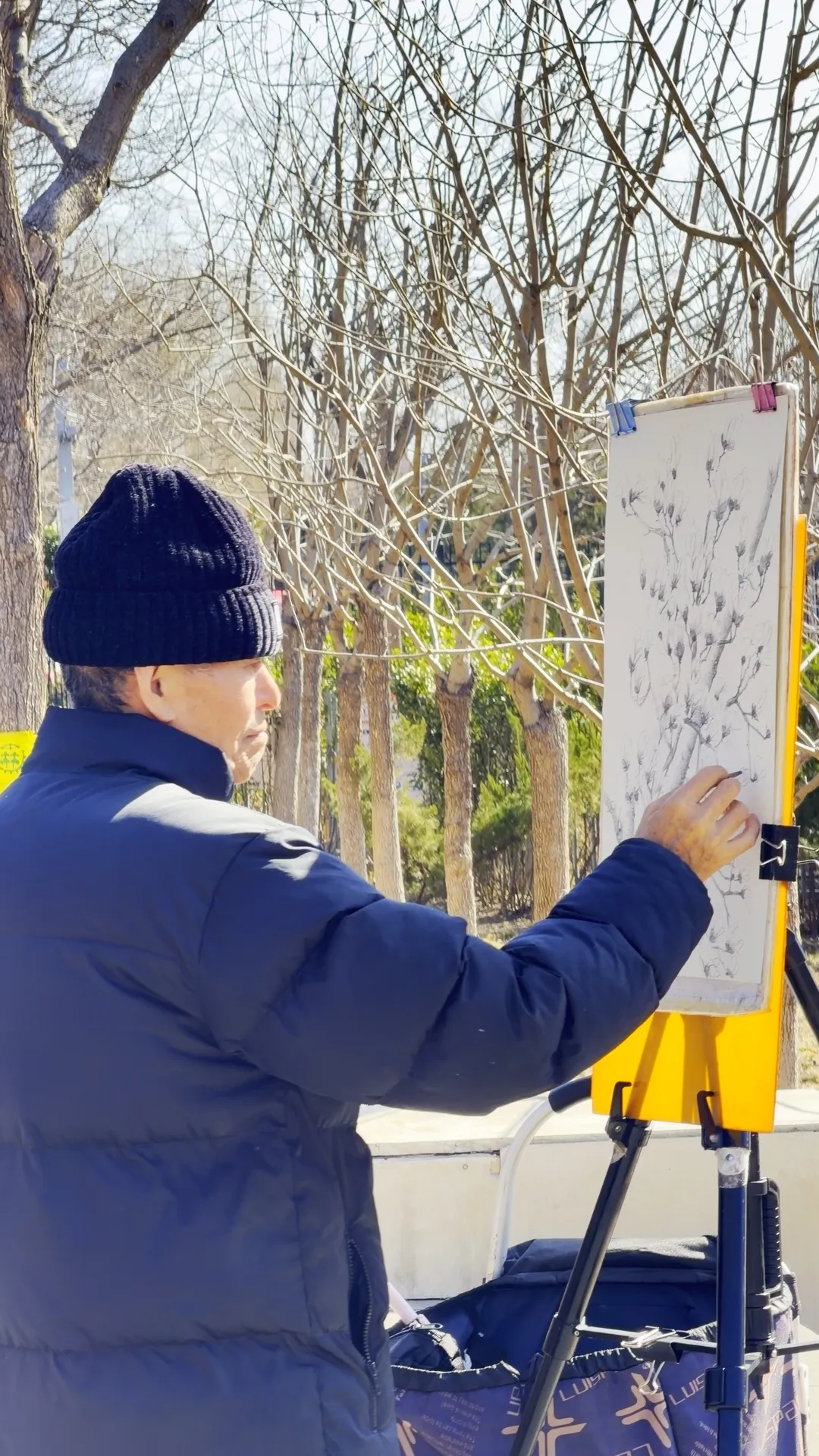 瞧 北京國際雕塑公園的“小鳥玉蘭”破殼啦！