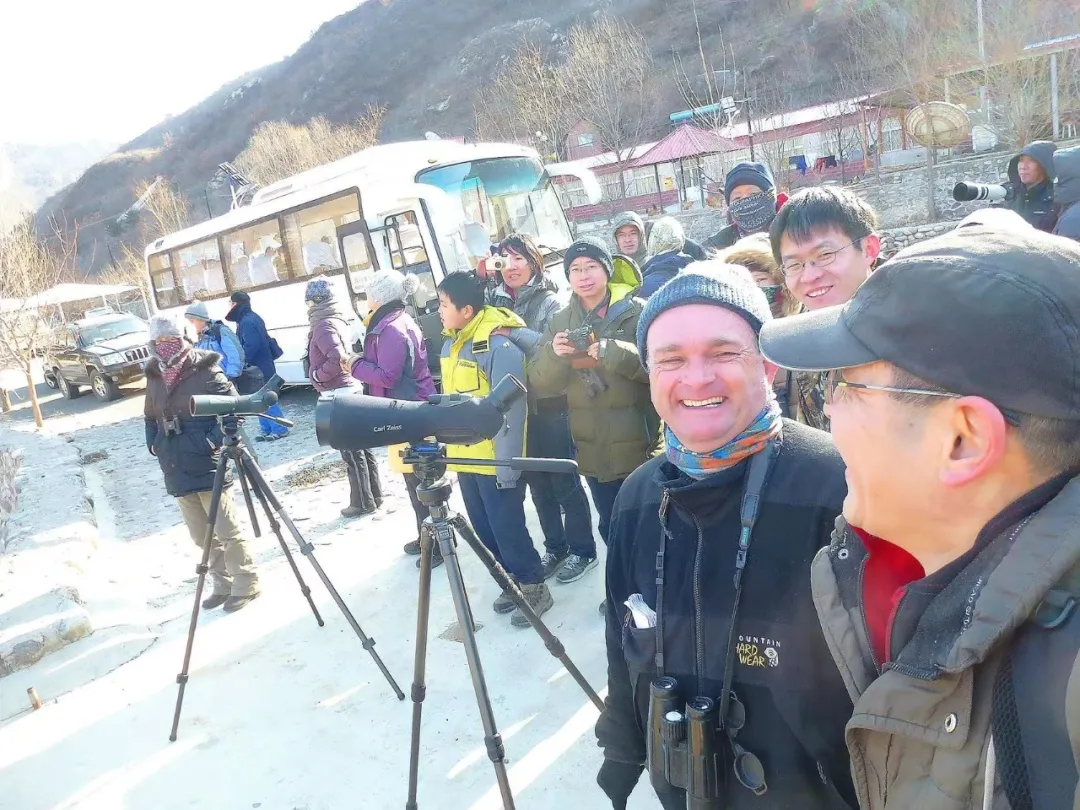 誰家鳥回來啦？這份北京春季觀鳥指南請查收