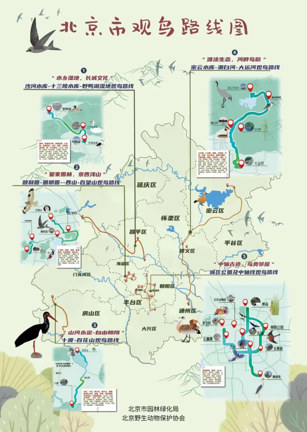 北京市觀鳥(niǎo)路線圖發(fā)布