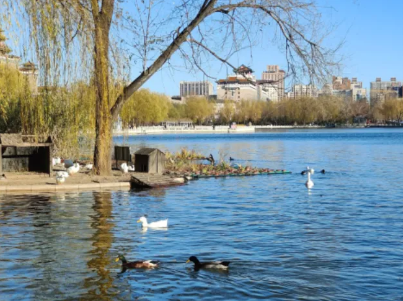 春日觀鳥(niǎo)正當(dāng)時(shí)！北京這些寶藏飛羽打卡地 快收藏