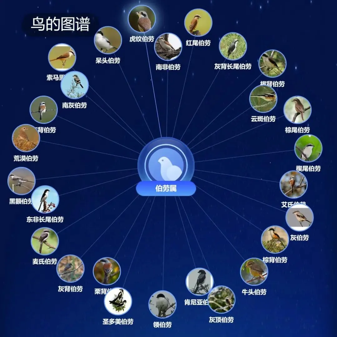 @李現(xiàn) 22個(gè)！北京還有這些“打鳥”勝地 附地圖→