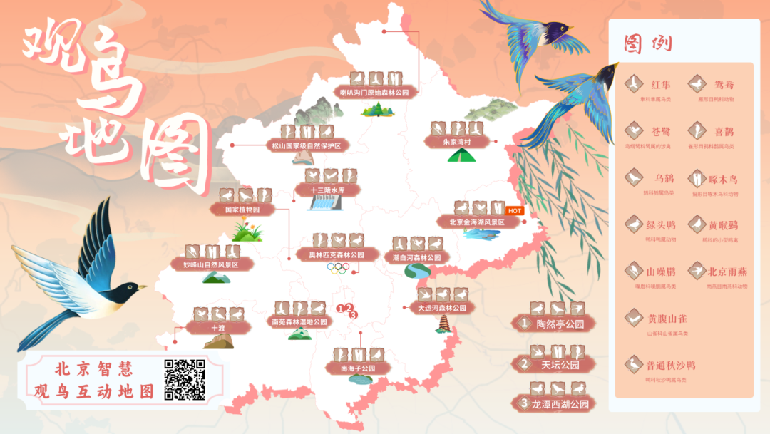 @李現(xiàn) 22個(gè)！北京還有這些“打鳥”勝地 附地圖→