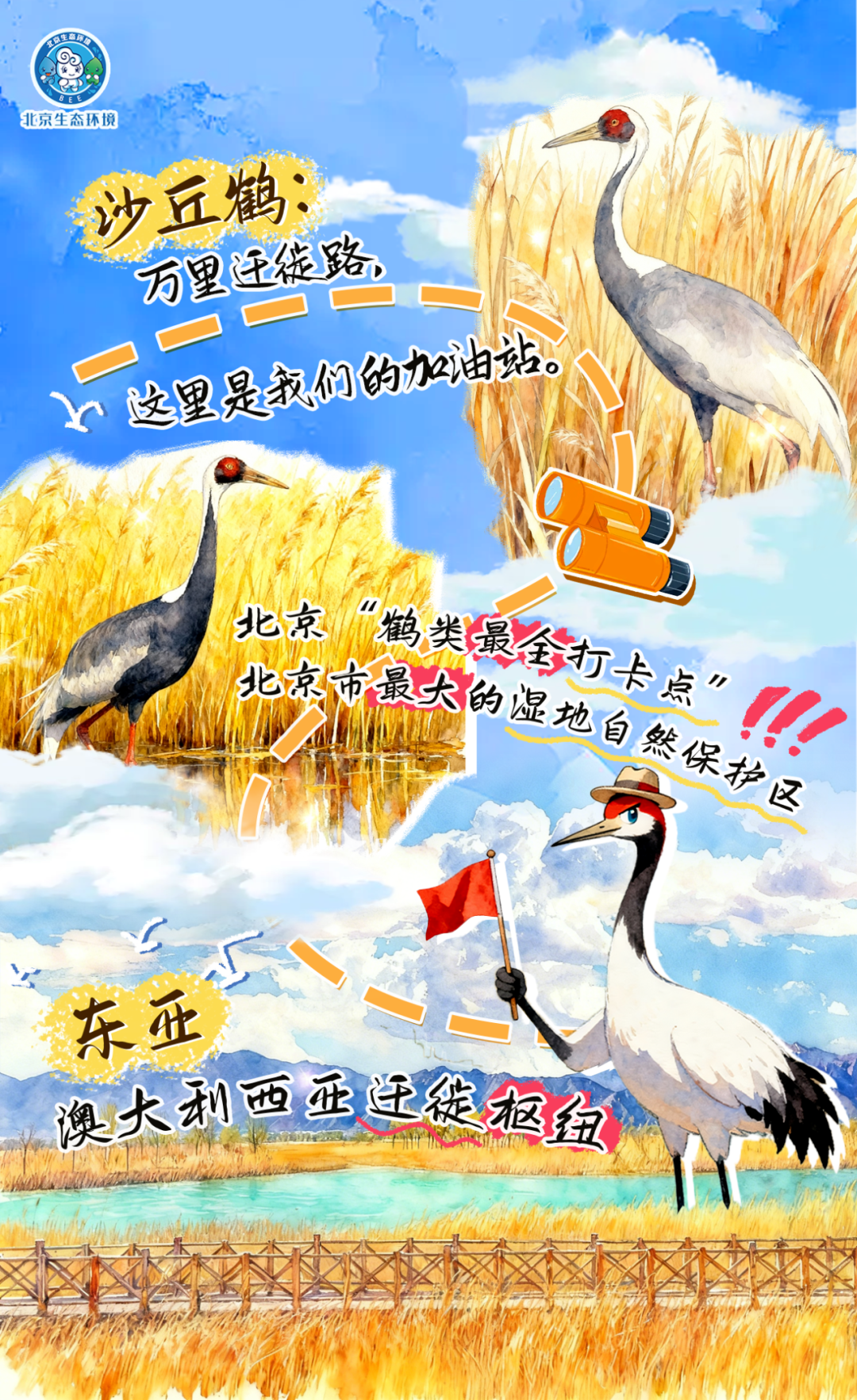 觀鳥季倒計(jì)時(shí)（一） 現(xiàn)在就出發(fā)！