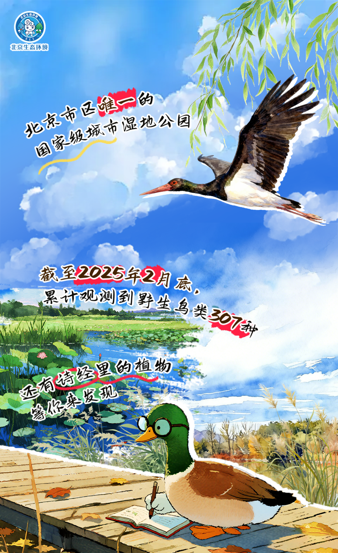 觀鳥季倒計(jì)時(shí)（一） 現(xiàn)在就出發(fā)！