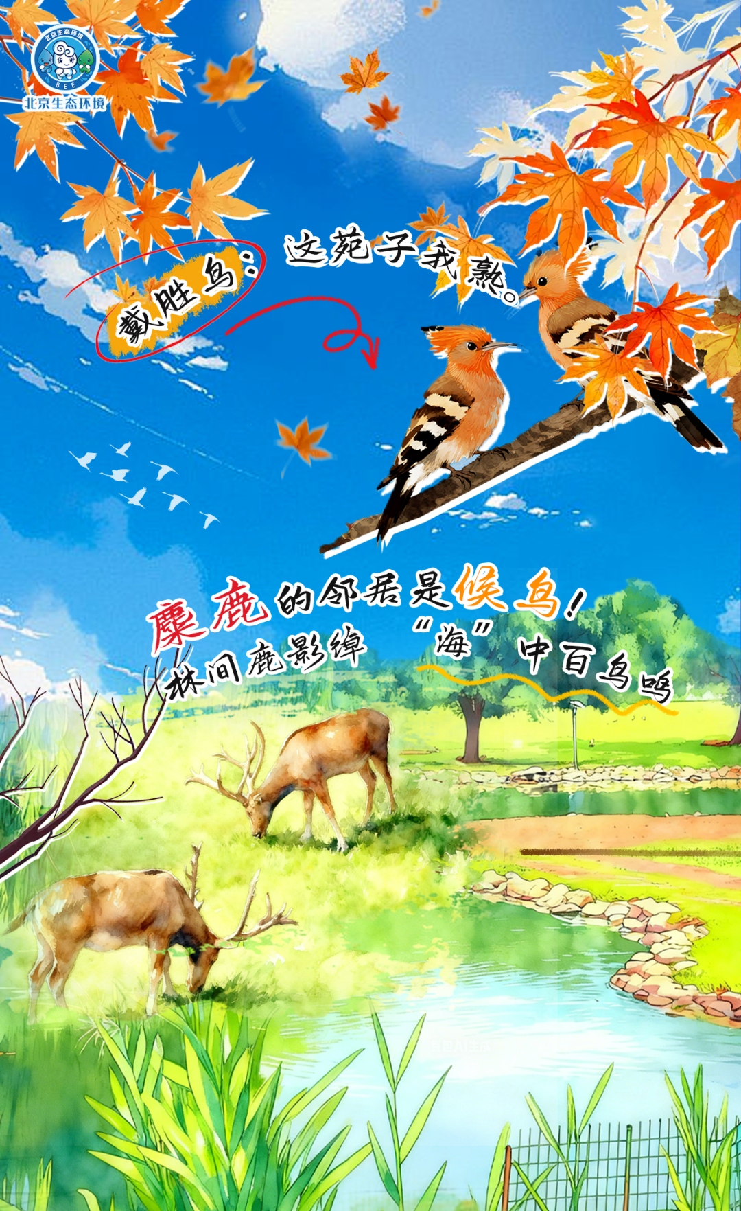 觀鳥季倒計(jì)時(shí)（一） 現(xiàn)在就出發(fā)！