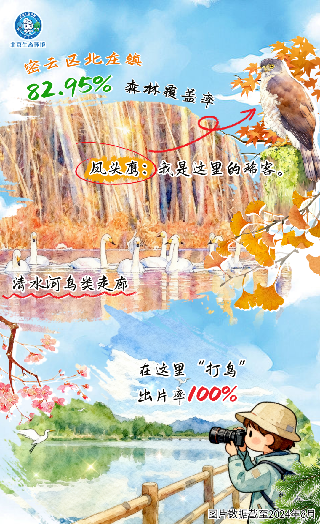 觀鳥季倒計(jì)時(shí)（一） 現(xiàn)在就出發(fā)！