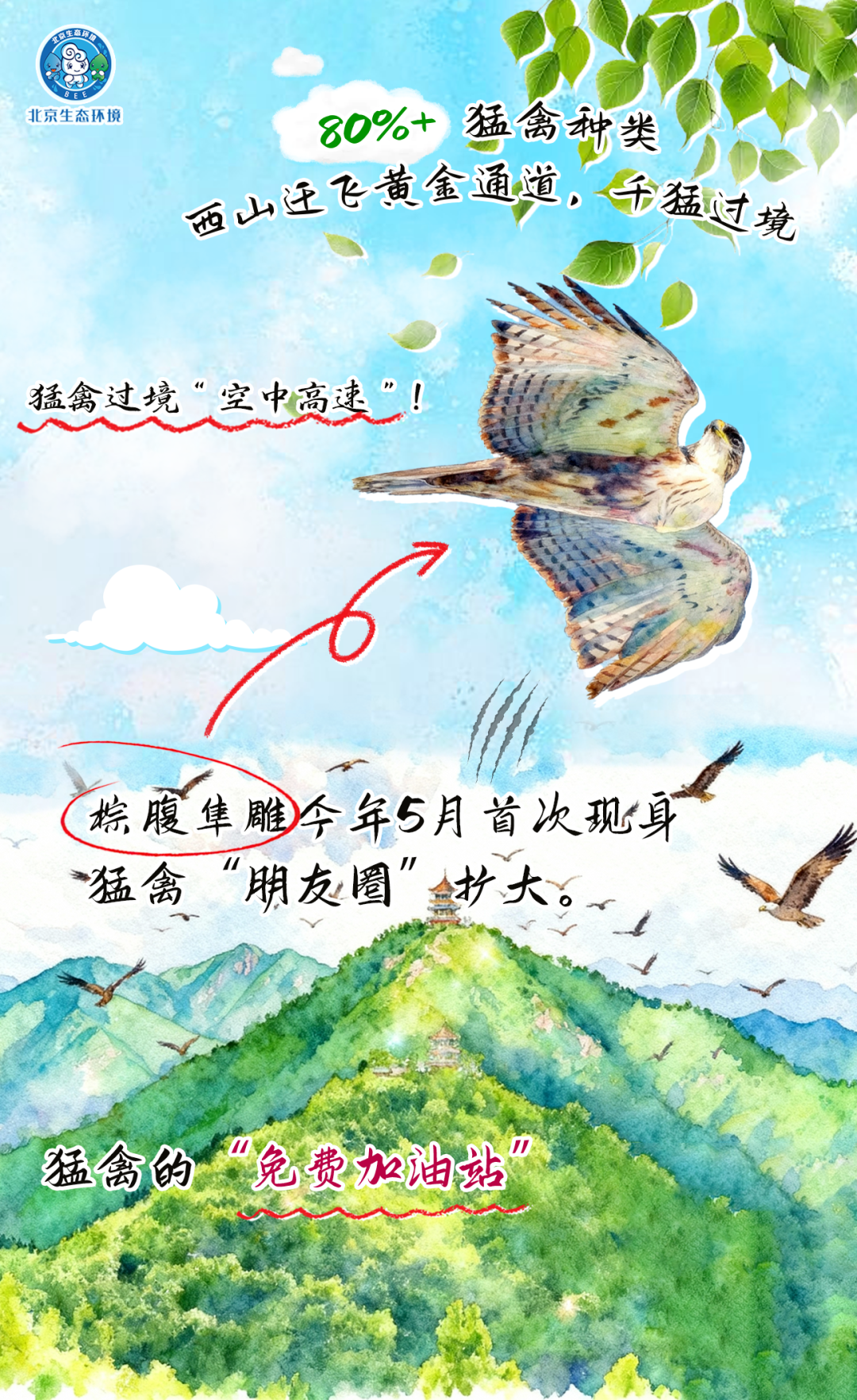觀鳥(niǎo)季倒計(jì)時(shí)（三） 一起去“打鳥(niǎo)”吧