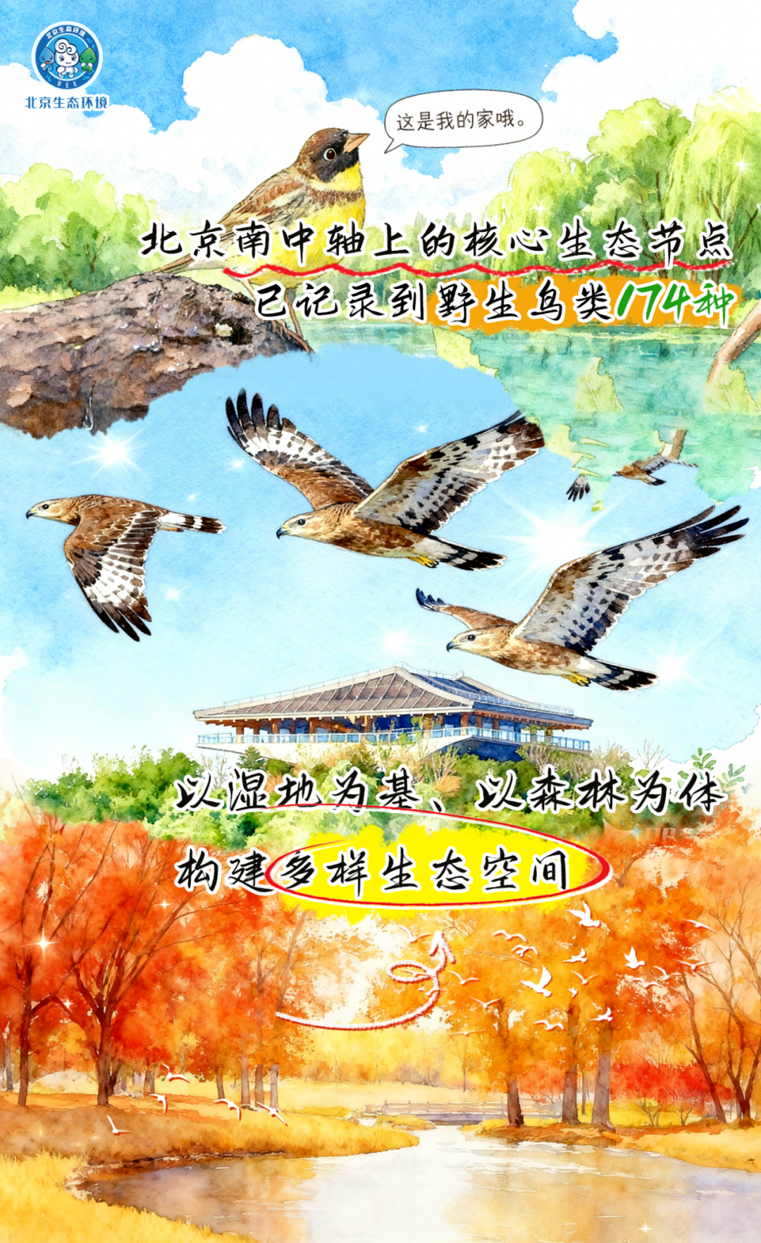 觀鳥(niǎo)季倒計(jì)時(shí)（三） 一起去“打鳥(niǎo)”吧