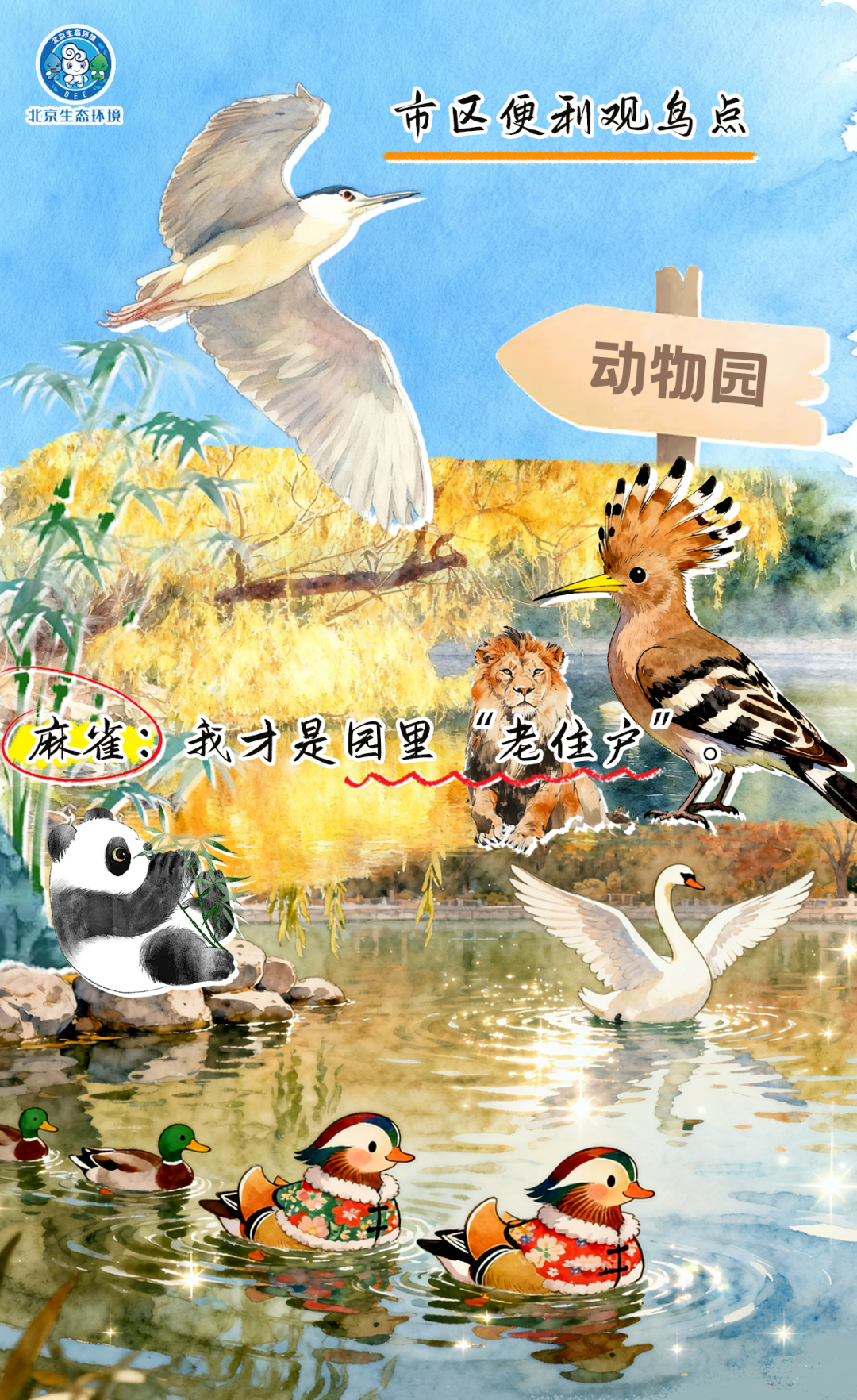 觀鳥(niǎo)季倒計(jì)時(shí)（三） 一起去“打鳥(niǎo)”吧