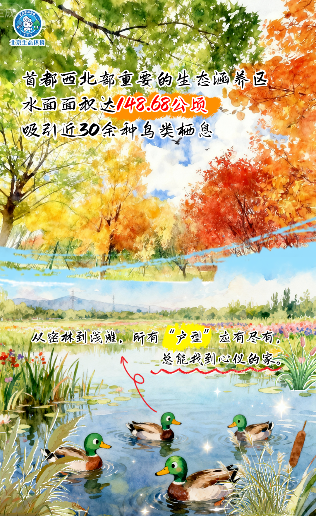 觀鳥(niǎo)季倒計(jì)時(shí)（三） 一起去“打鳥(niǎo)”吧