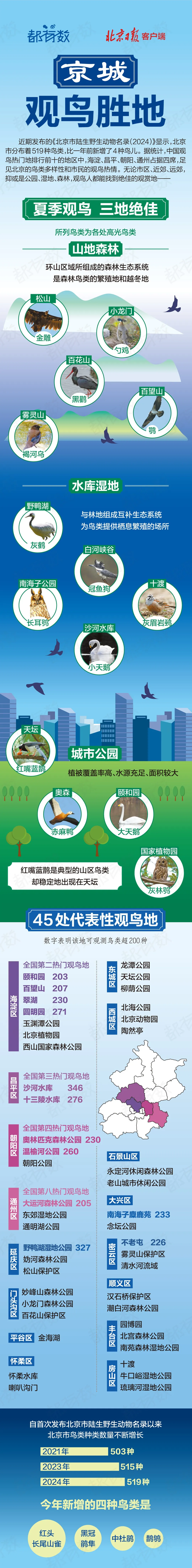 最佳觀鳥季已至！北京這些地點適合觀鳥（建議收藏）