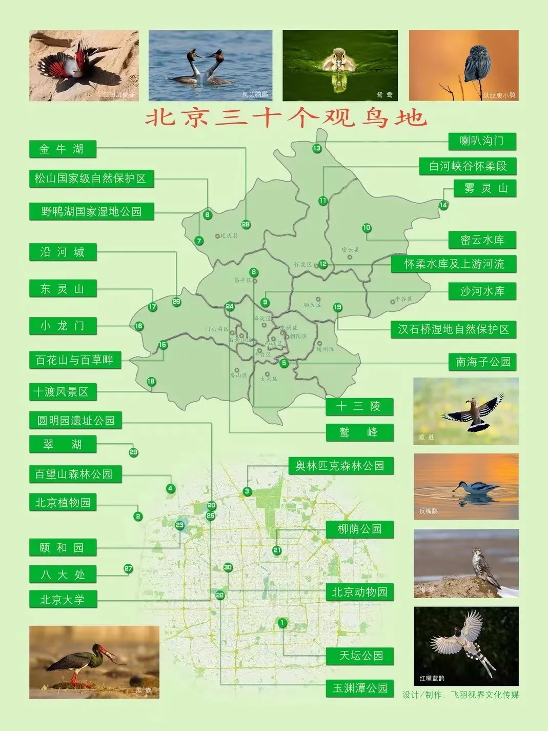 北京的愛(ài)鳥(niǎo)周 到什么地方去觀鳥(niǎo)？