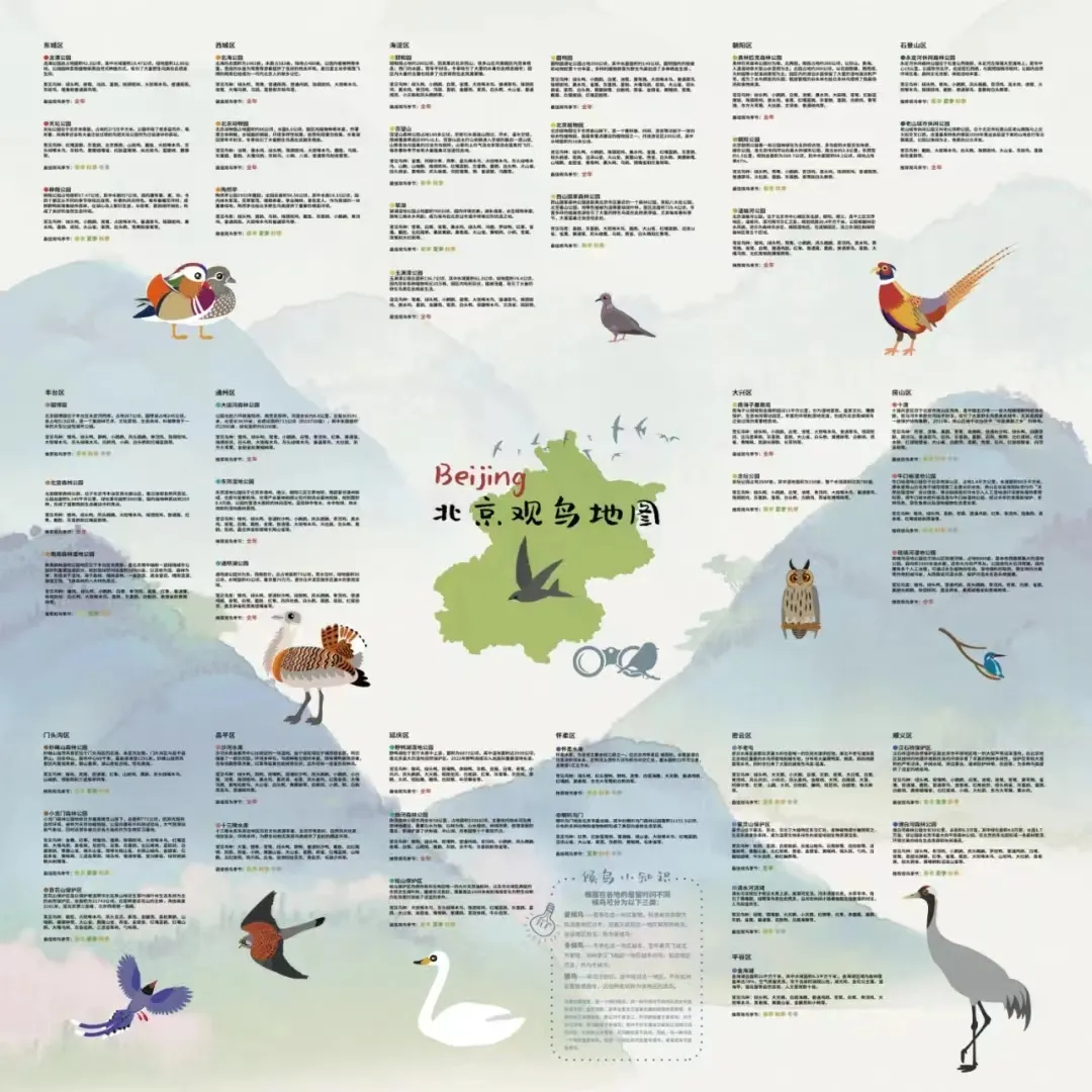 北京的愛(ài)鳥(niǎo)周 到什么地方去觀鳥(niǎo)？