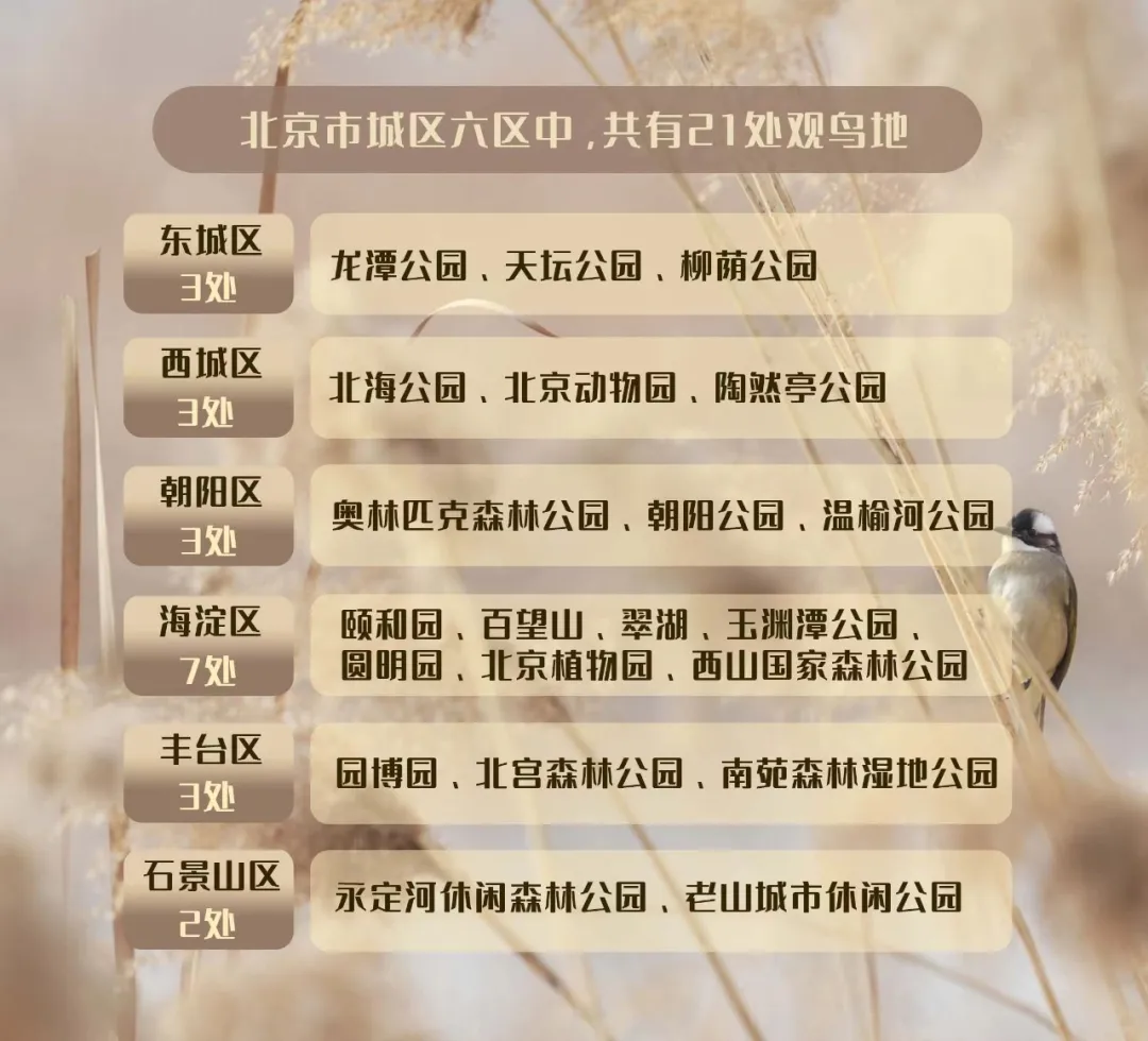 北京的愛(ài)鳥(niǎo)周 到什么地方去觀鳥(niǎo)？