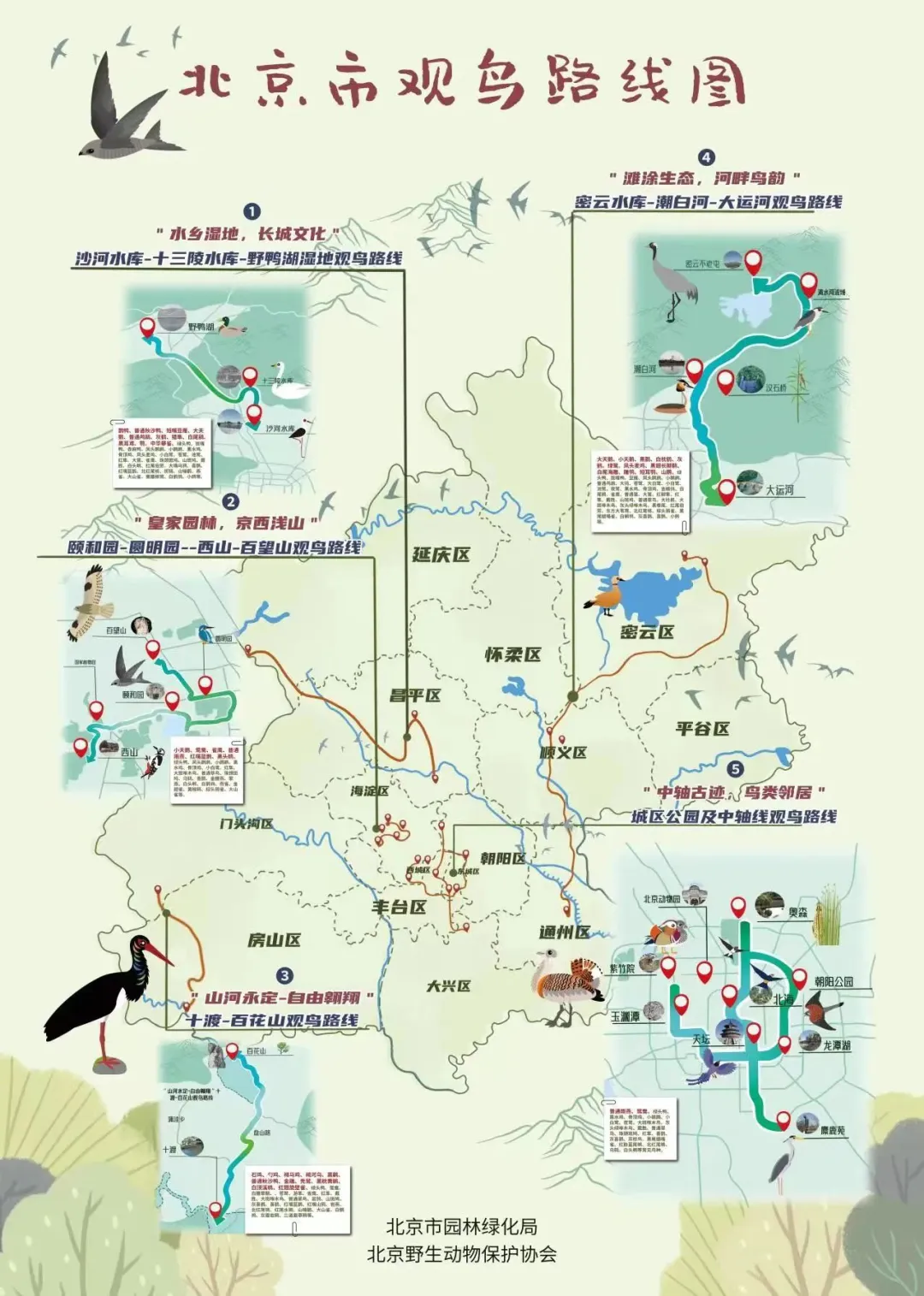 北京的愛(ài)鳥(niǎo)周 到什么地方去觀鳥(niǎo)？