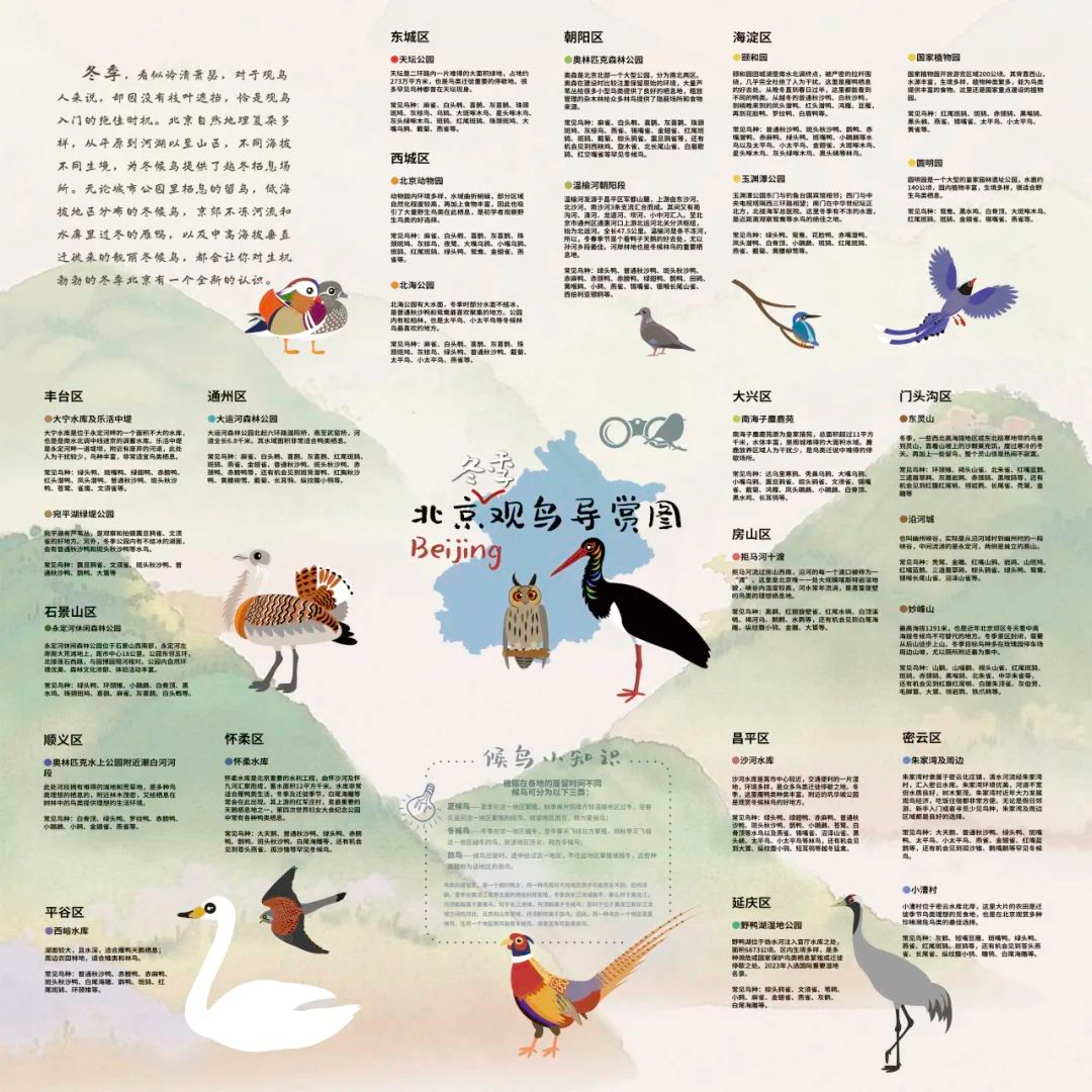 《北京冬季觀鳥導(dǎo)賞圖》發(fā)布