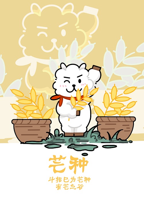 張曉婷.jpg