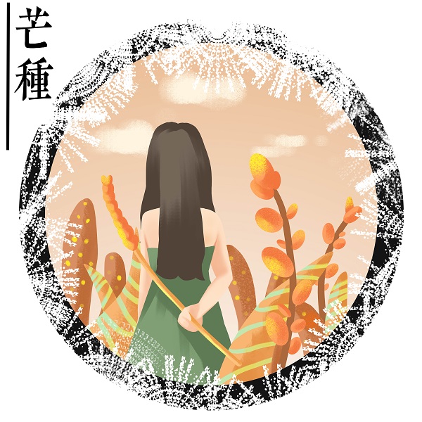曹鎮(zhèn).jpg