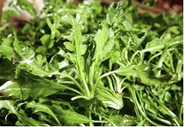 【北京疾控提醒您】野菜別亂采！這份“春日野菜食用安全指南”請(qǐng)收好