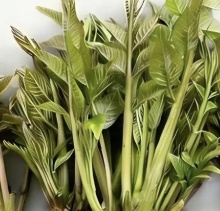 【北京疾控提醒您】野菜別亂采！這份“春日野菜食用安全指南”請(qǐng)收好