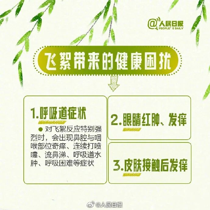 北京進(jìn)入飛絮期 緊急提醒！