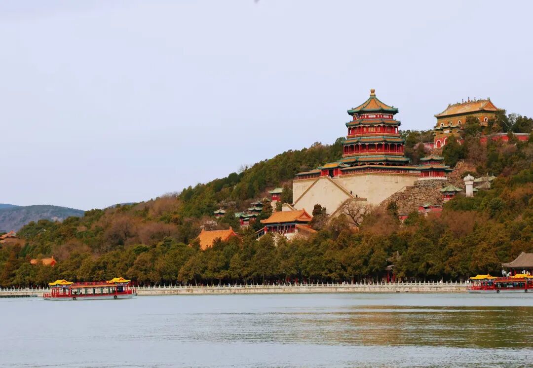 北京公園的花開了！6條路線 景好人少