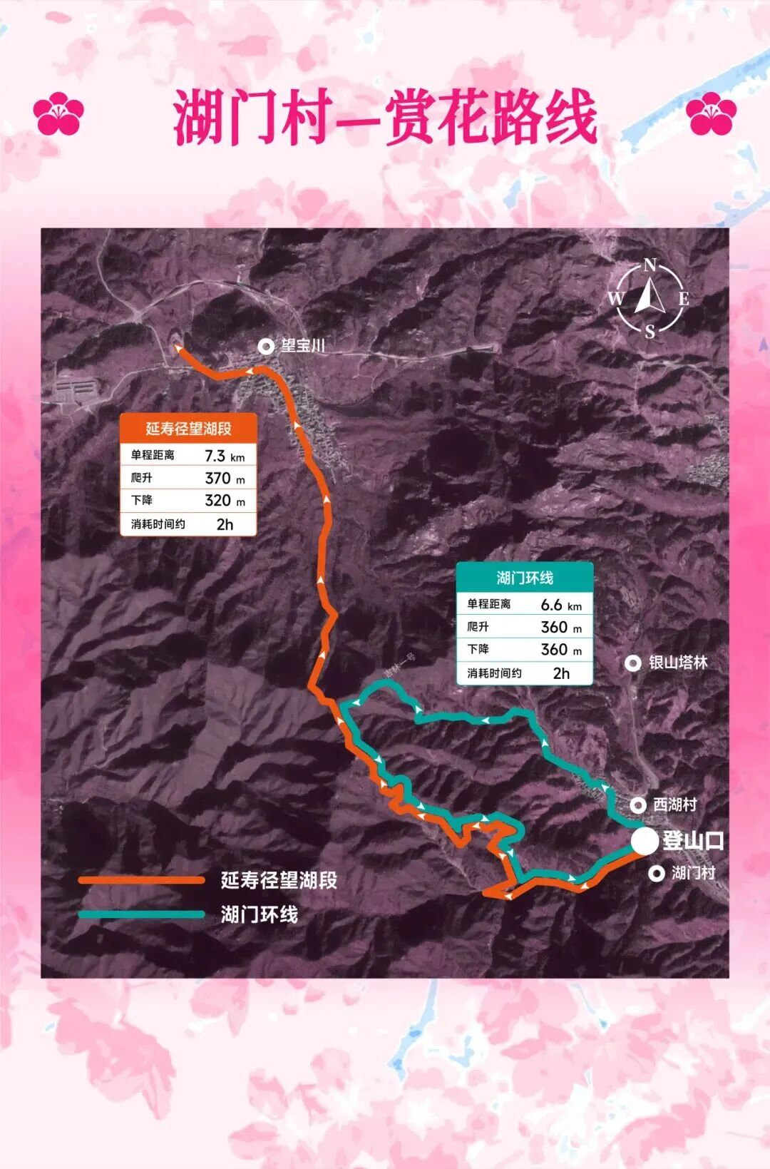 延壽最佳賞花期即將到來！解鎖徒步&騎行賞花全指南