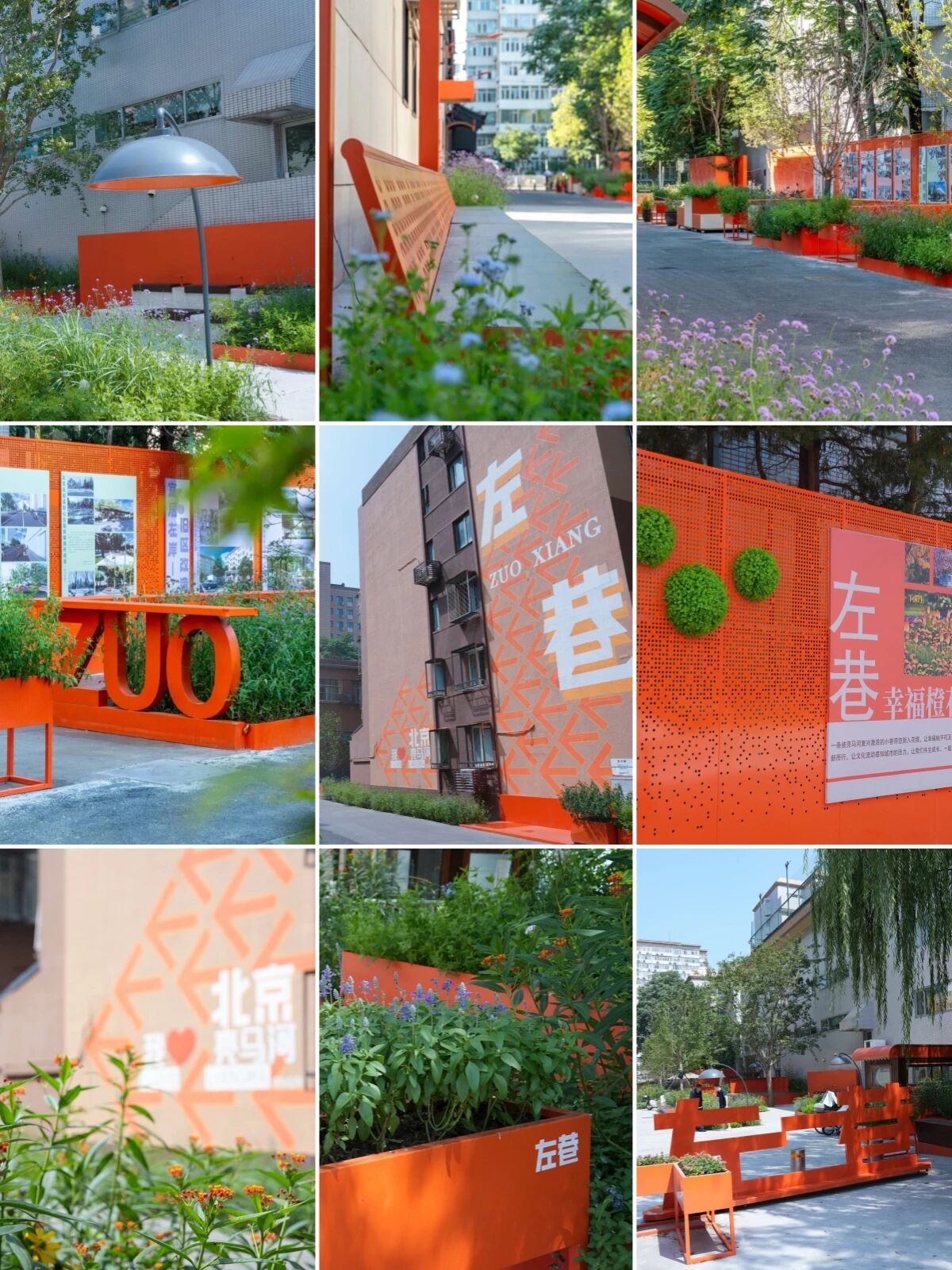 北京散步新搭子 Color Walk路線拿走不謝